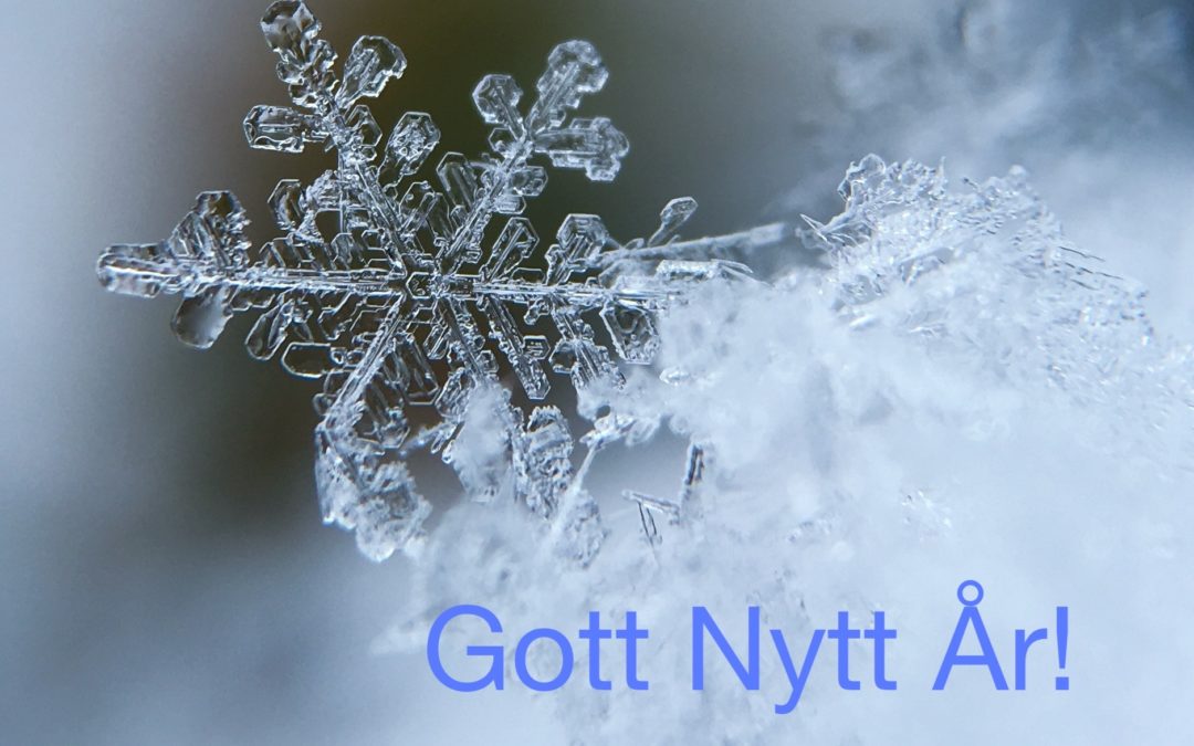 Gott nytt år 2006!