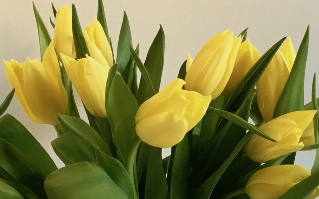 Zulmay Afzalis påskhälsning