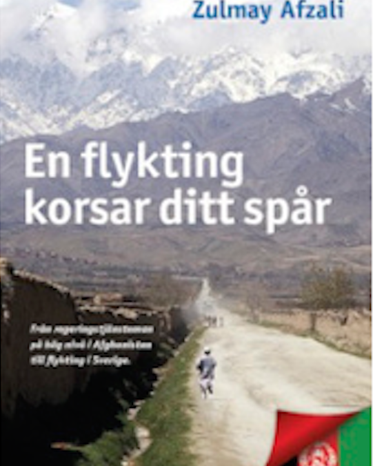 Facebook påminner om när jag översatte Zulmay Afzalis första bok