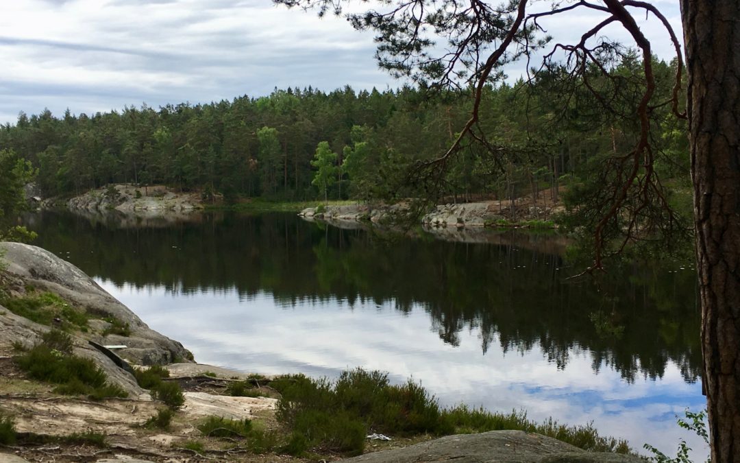 Frukostlunch i orörd skog vid spegelblank sjö