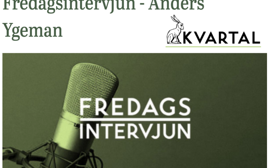 Anders Ygeman: ”Vi hade vad jag skulle vilja kalla det huvudlösa alternativet, som framförallt företräddes av Centerpartiet.”