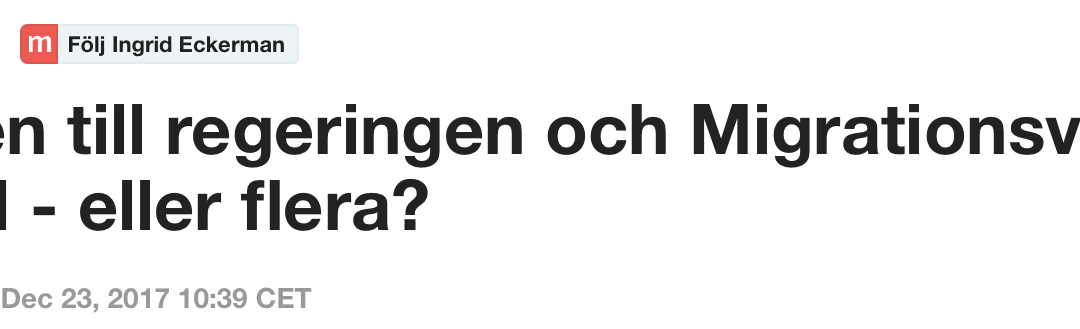 Att antyda eller påstå, som aktiviströrelsen i ett pressmeddelande gör, att det skulle vara politikers fel om en afghan i Sverige väljer att begå självmord är att gå för långt