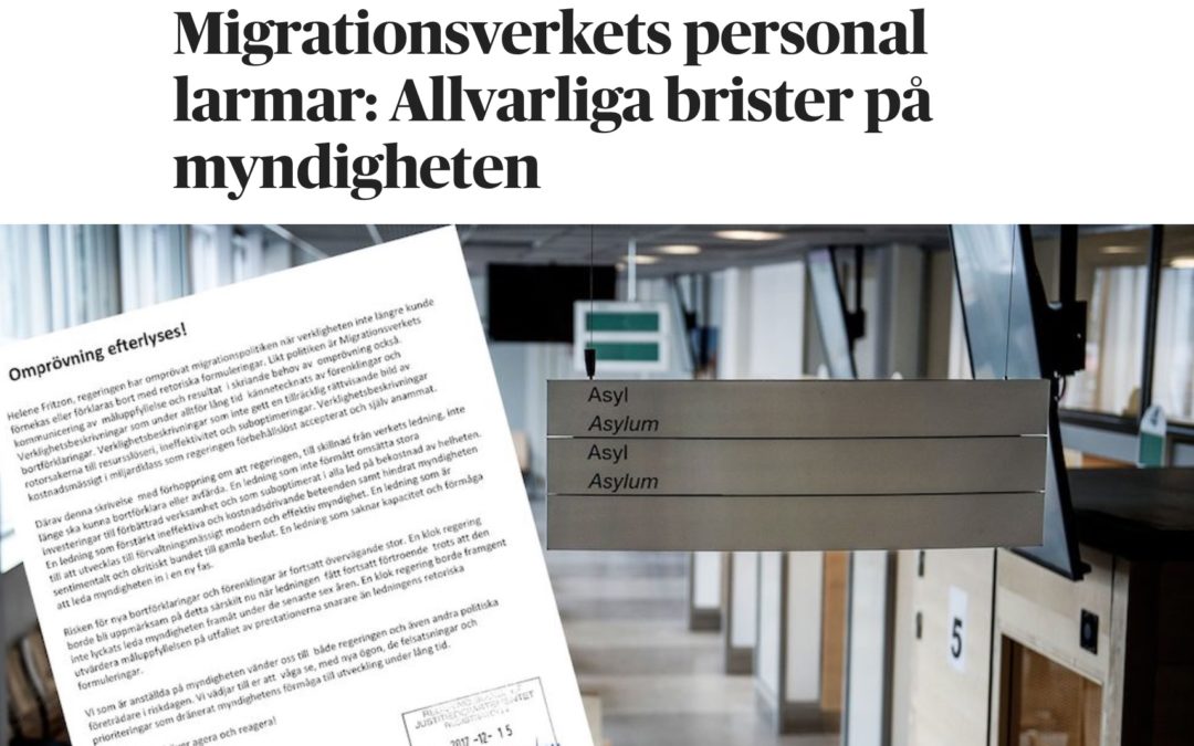En migga: ”Det finns enheter där 50 procent av ärendena inte är korrekt handlagda.”