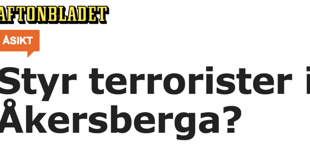 Styr ordfelanvändare i vissa medier?
