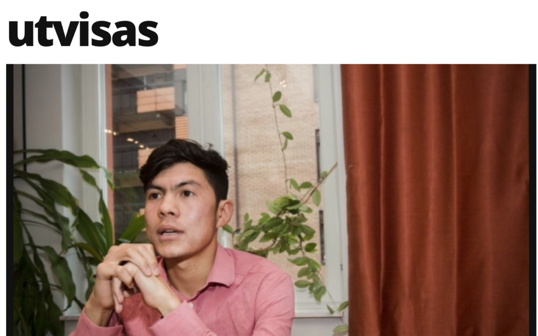 Vad är det som gör att så många afghanska män anser sig ha rätt att stanna i Sverige trots att de fått avslag på sina asylansökningar?