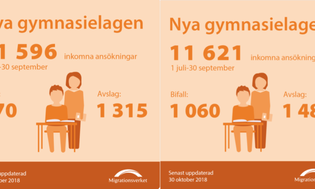 En migga och Dagens Juridik och Migrationsverket