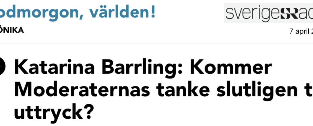 Katarina Barrling: ”Politiskt förtroende bygger på människor, som säger saker för att de tror på dem, inte för att en arbetsgrupp kommit fram till att de skall tro på dem.”