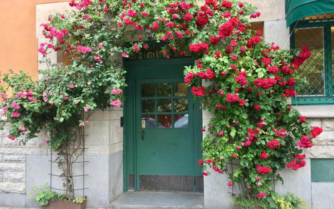 Stockholm, onsdagen den 17 juli 2019