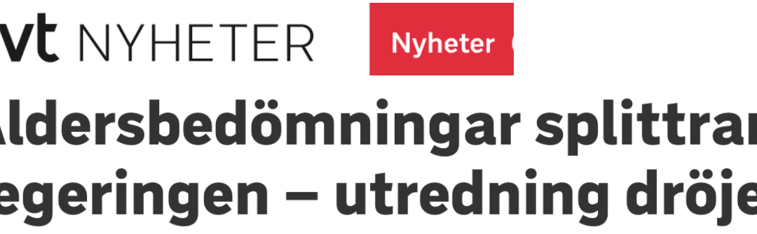 ”Utredning dröjer”. Varför klarar inte Sverige av att göra åldersbedömningar av asylsökande som säger sig vara minderåriga när alla andra länder gör det?