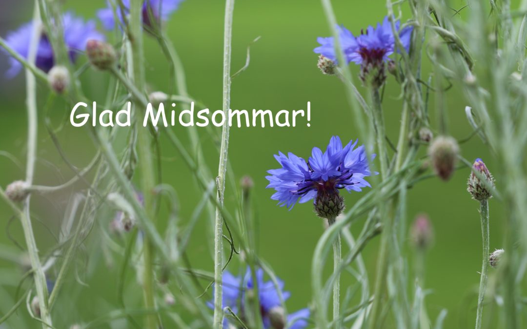 Glad midsommar 2020!