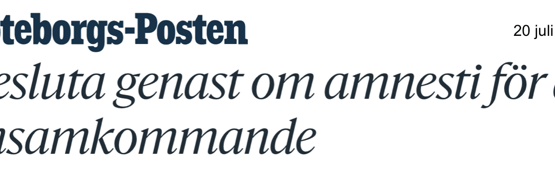 Kommentarer till debattartikel om att ”riksdagsledamöter med medmänsklighet på sin agenda bör genast besluta om en amnesti för tusentals ensamkommande ungdomar i Sverige.”