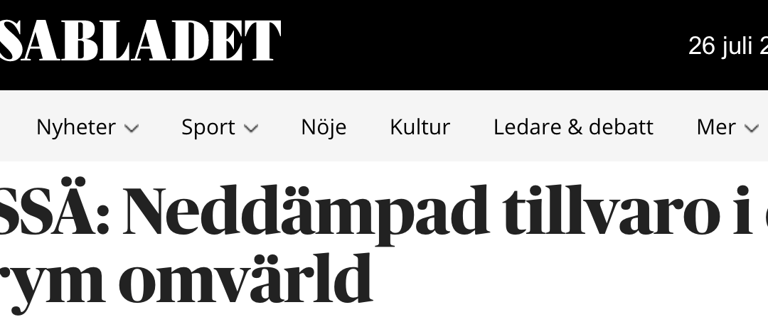 Finland. Den finlandssvenska författaren Wava Stürmer om livet i coronapandemins tid: ”Vårkvällens vemodsblå djupnar till natt. En ensamdag är över.”