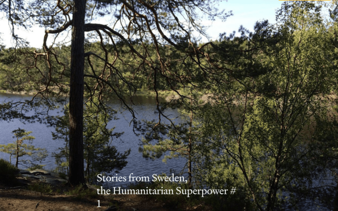 Tillbakablick: Mina 18 texter på engelska på sajten Medium juni-september 2014.