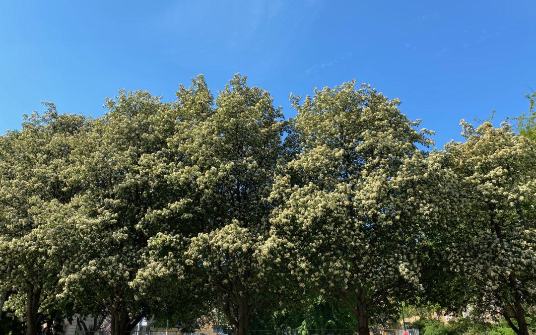 Äntligen sommar!